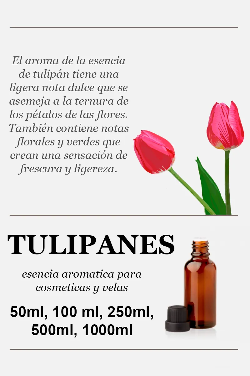 Tulipanes